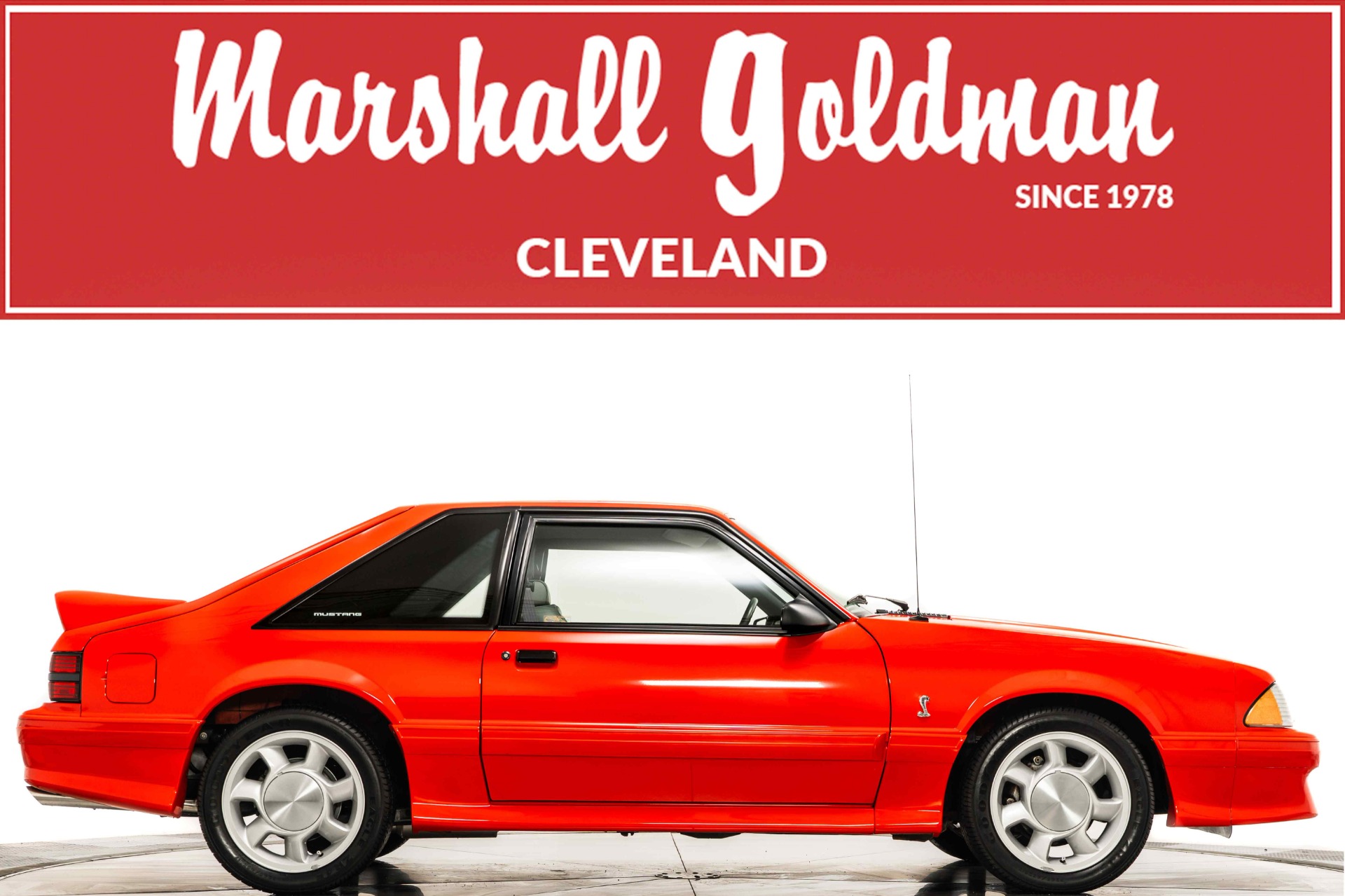 Used 1993 Ford Mustang SVT Cobra For Sale (Sold) | Marshall