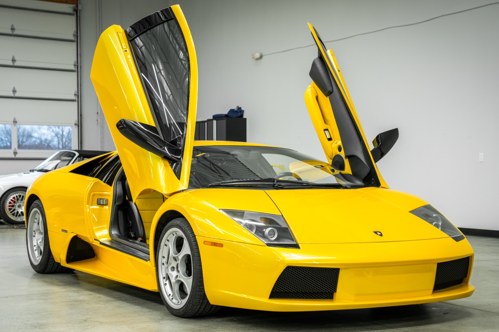 Giallo Orion Lamborghini Murcielago 6 Speed Manual with Nero